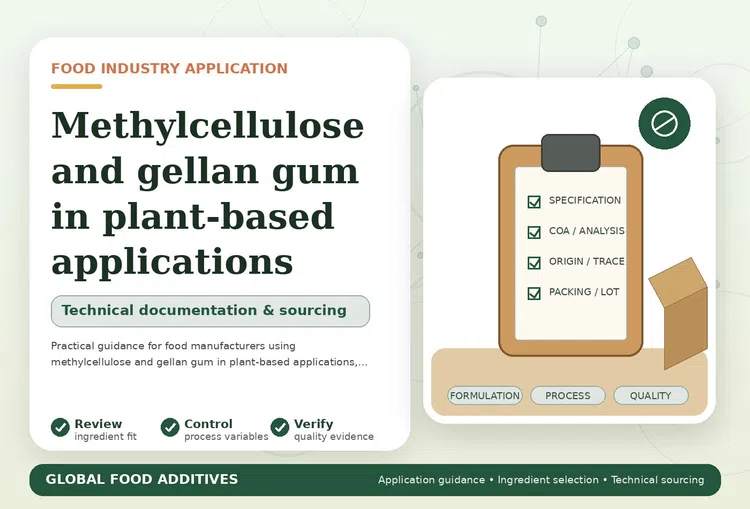 Methylcellulose and gellan gum in plant-based food applications