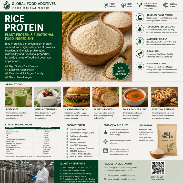 Rice Protein food ingredient food additive ingredient illustration